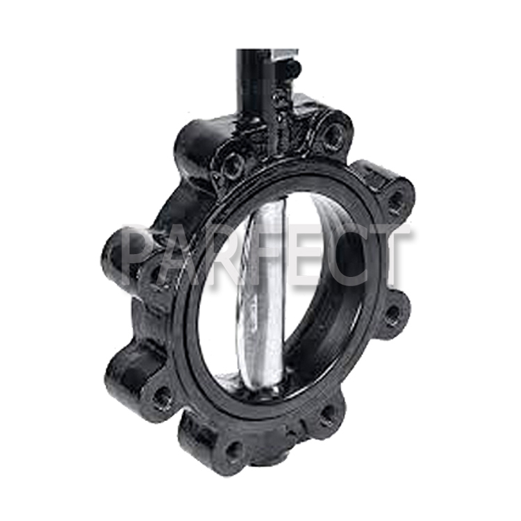 Butterfly Valve-Resin Sand Casting-Sand Casting-02