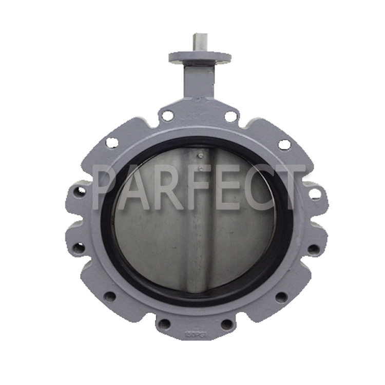 Butterfly Valve-Resin Sand Casting-Sand Casting-04