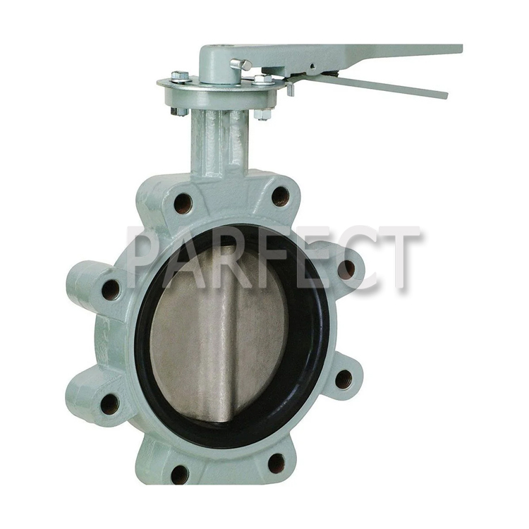Butterfly Valve-Resin Sand Casting-Sand Casting-06