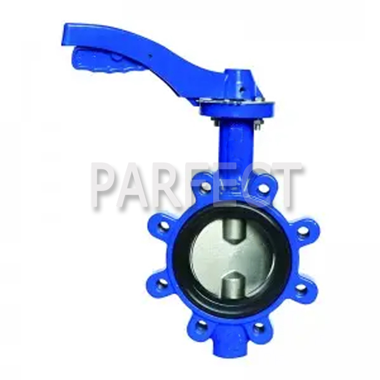 Butterfly Valve-Resin Sand Casting-Sand Casting-05