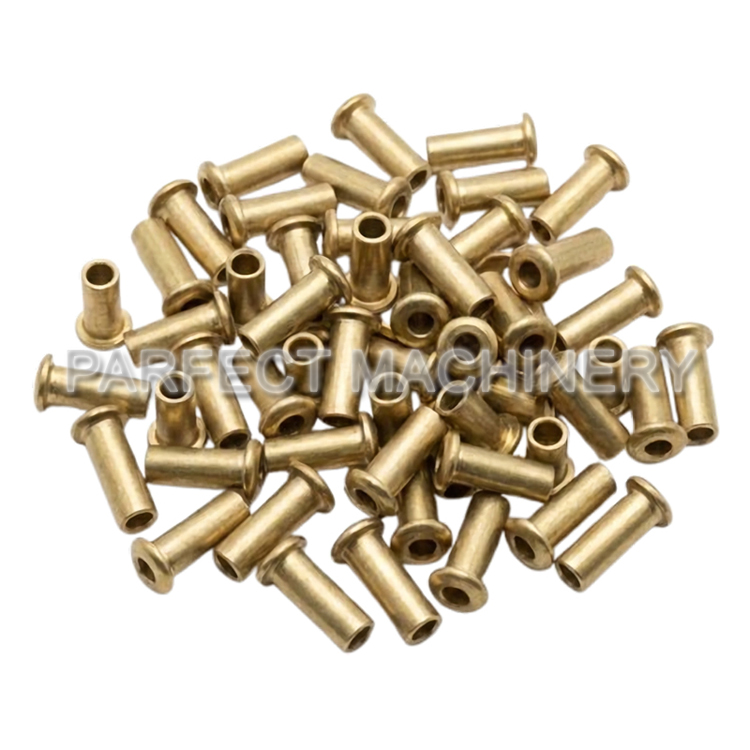 brass rivet-cold headed brass part-cold forging 08
