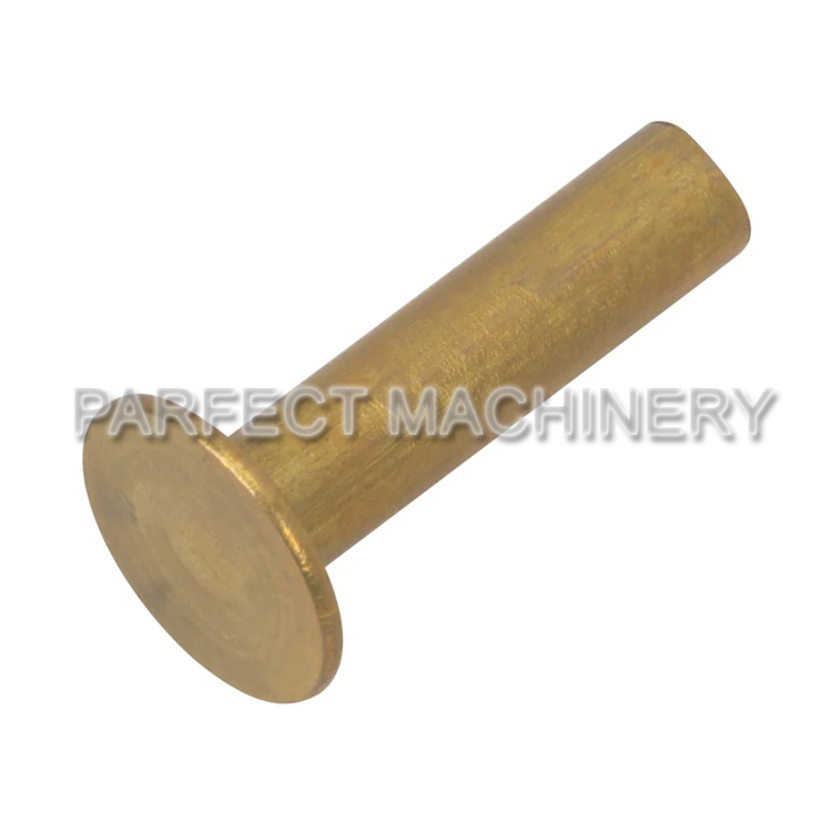 brass rivet-cold headed brass part-cold forging 12