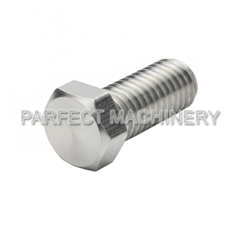 stainless steel bolt screw-cold headed stainless steel part-cold forging 01