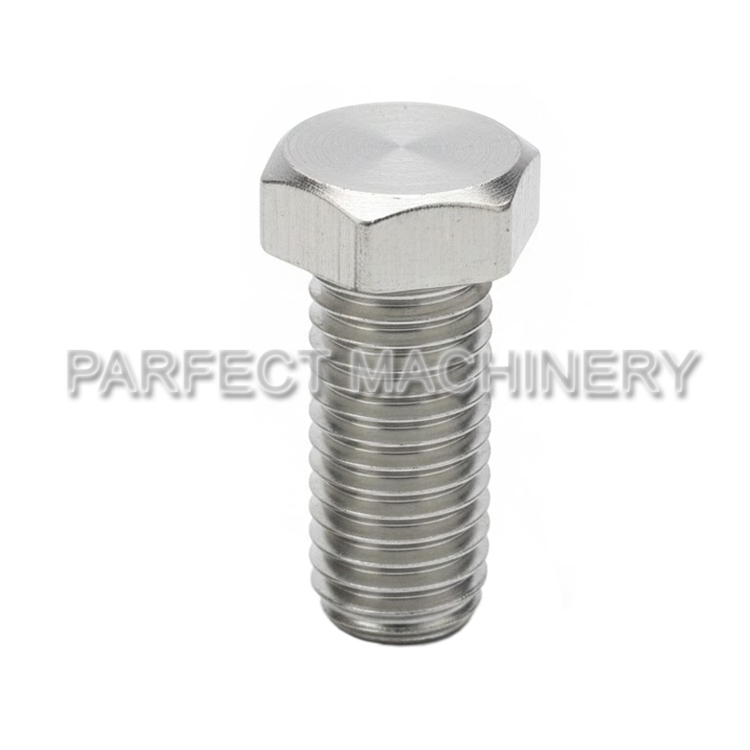 stainless steel bolt screw-cold headed stainless steel part-cold forging 02