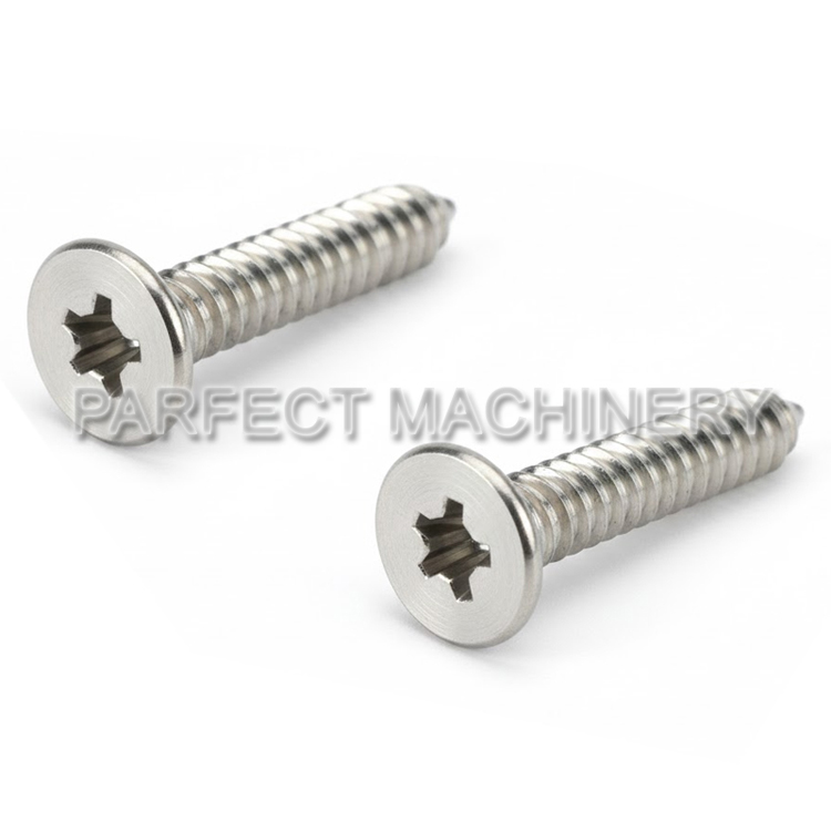 stainless steel bolt screw-cold headed stainless steel part-cold forging 04