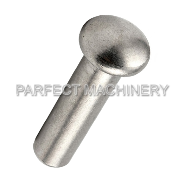stainless steel rivet-cold headed stainless steel part-cold forging 02