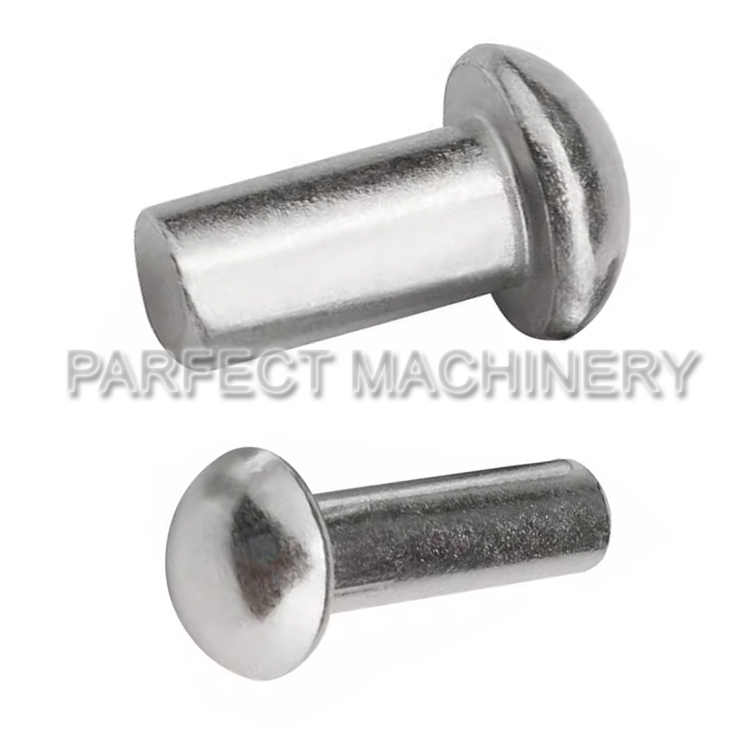 stainless steel rivet-cold headed stainless steel part-cold forging 04