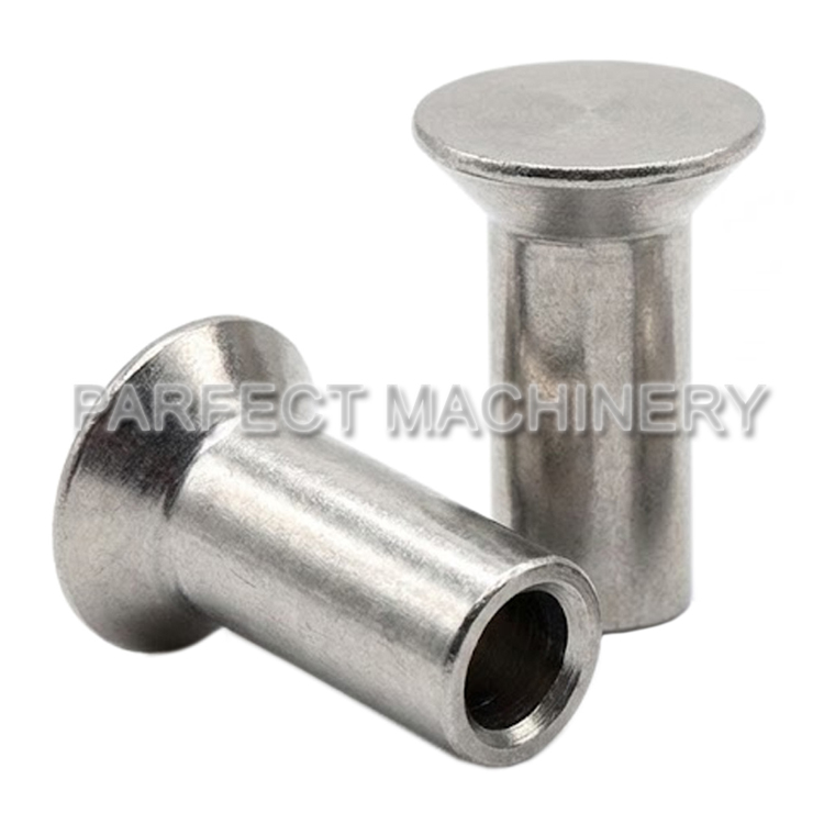 stainless steel rivet-cold headed stainless steel part-cold forging 09