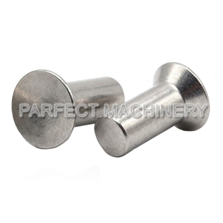 stainless steel rivet-cold headed stainless steel part-cold forging 08