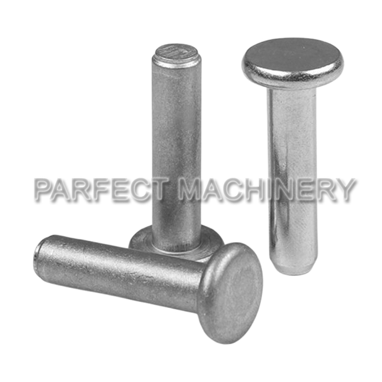 stainless steel rivet-cold headed stainless steel part-cold forging 10
