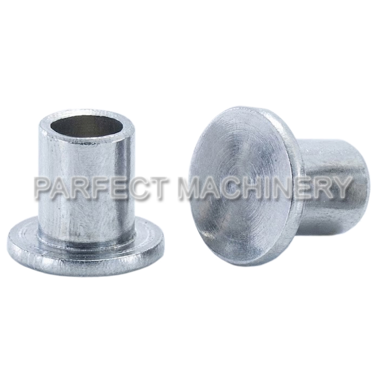 stainless steel rivet-cold headed stainless steel part-cold forging 11