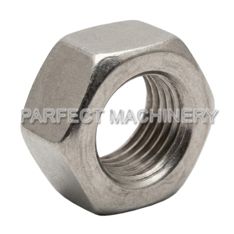 stainless steel nut-cold headed stainless steel part-cold forging 08