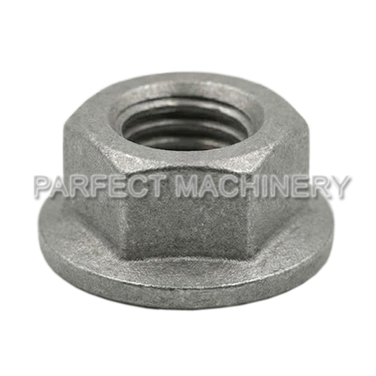 carbon steel nut-cold headed carbon steel part-cold forging 06