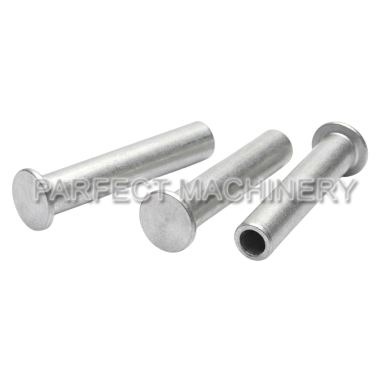 aluminum rivet-cold headed aluminum part-cold forging 03