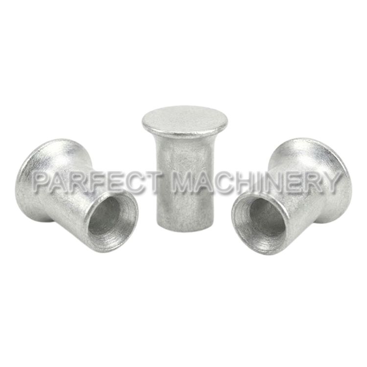 aluminum rivet-cold headed aluminum part-cold forging 05
