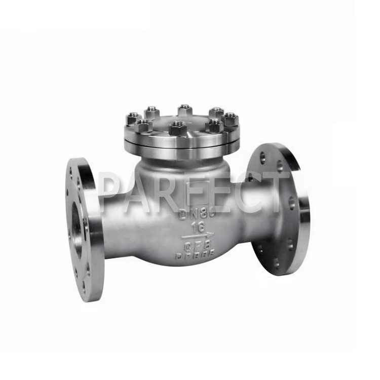 Check Valve-Black Sand Casting-Sand casting-01